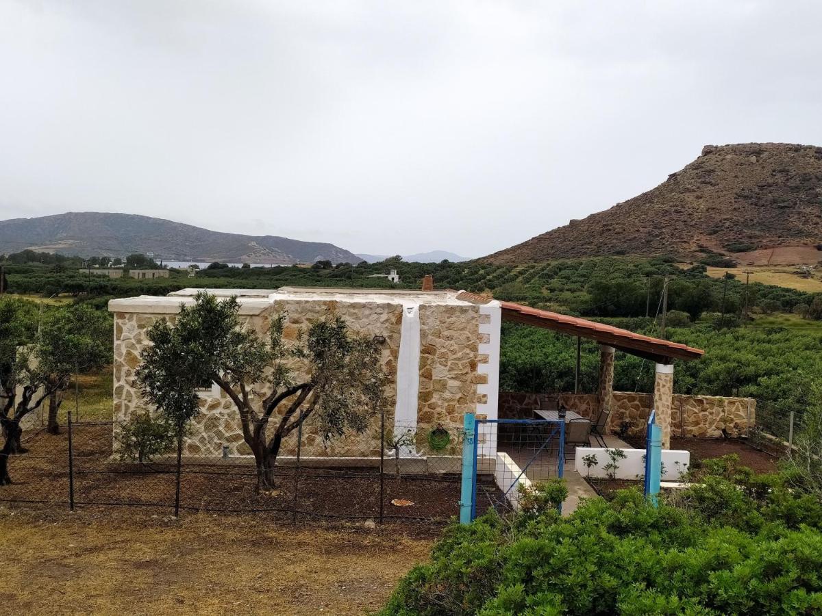 Kouros House - Zen Philosophy Palekastro Exterior photo